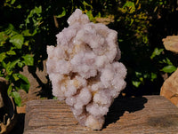 Natural Amethyst Spirit Quartz Cluster x 1 From South Africa - Toprock Gemstones and Minerals 