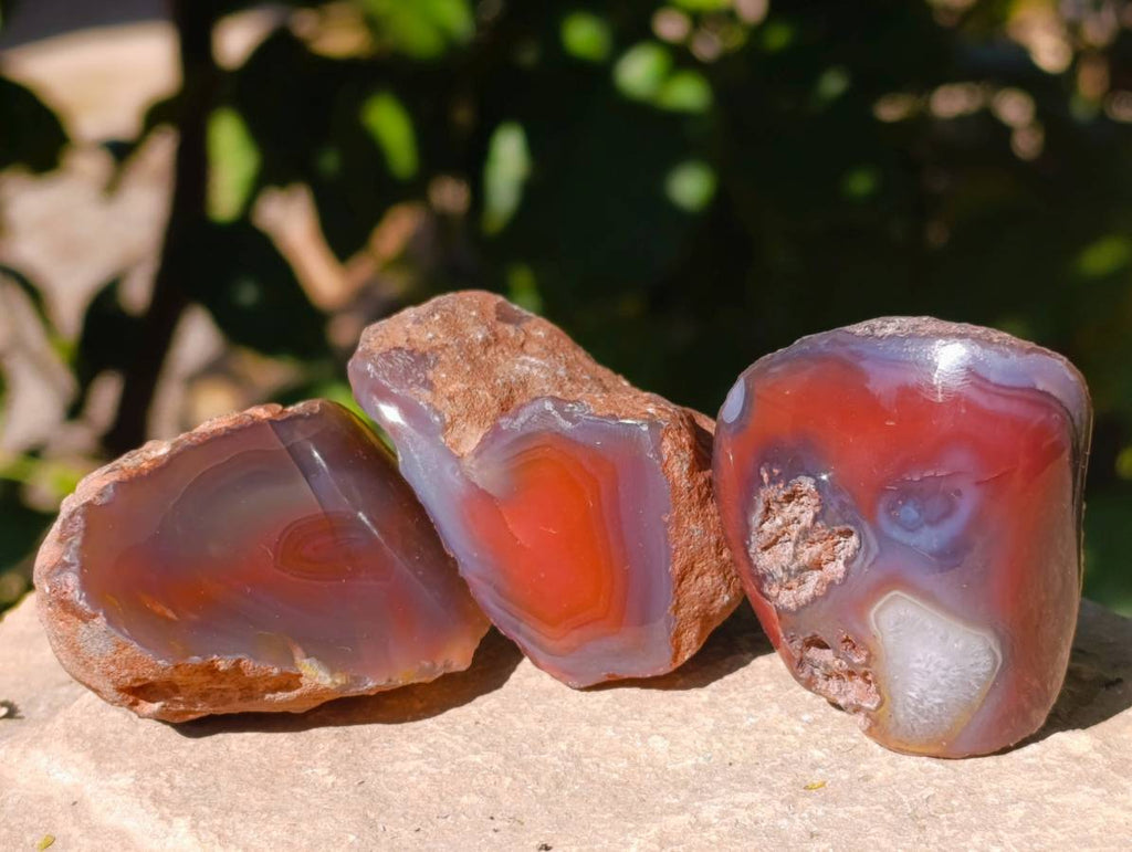 Polished On One Side Red Sashe River Agate Nodules x 20 From Zimbabwe - Toprock Gemstones and Minerals 