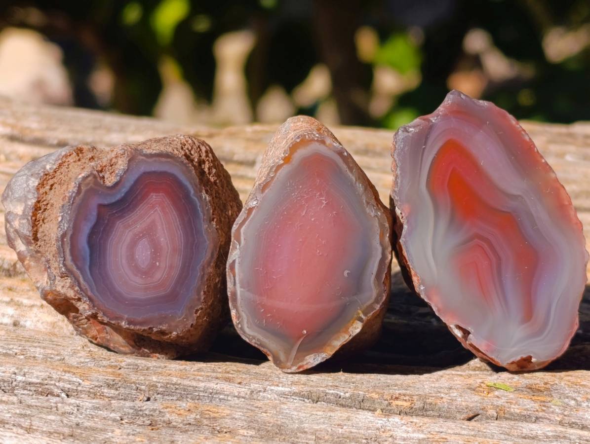 Polished On One Side Red Sashe River Agate Nodules x 20 From Zimbabwe - Toprock Gemstones and Minerals 