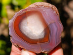 Polished On One Side Red Sashe River Agate Nodules x 20 From Zimbabwe - Toprock Gemstones and Minerals 