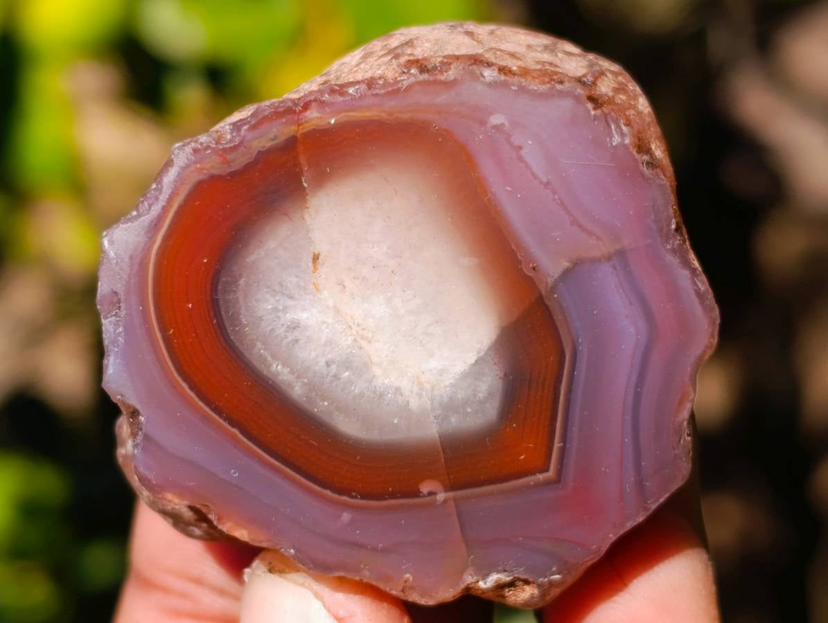 Polished On One Side Red Sashe River Agate Nodules x 20 From Zimbabwe - Toprock Gemstones and Minerals 