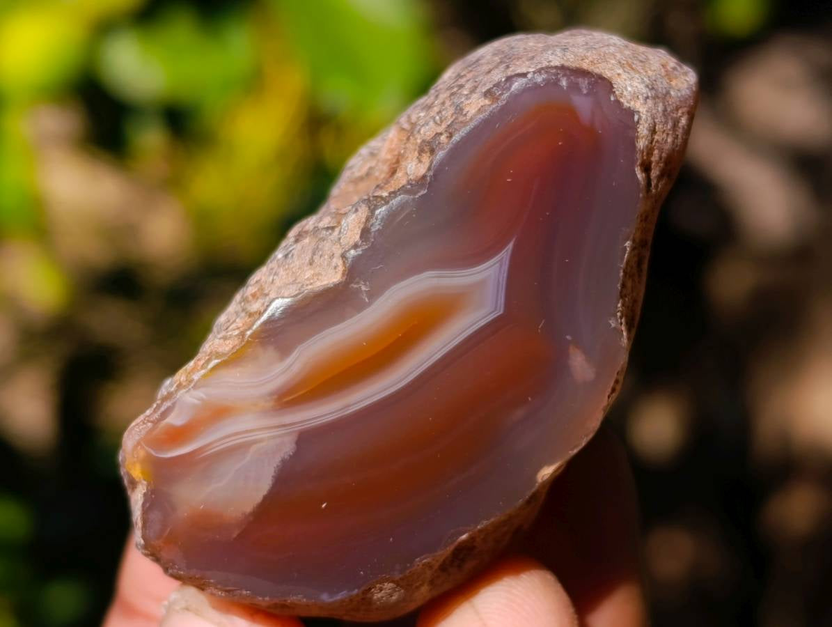 Polished On One Side Red Sashe River Agate Nodules x 20 From Zimbabwe - Toprock Gemstones and Minerals 
