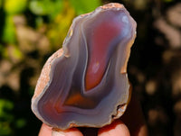 Polished On One Side Red Sashe River Agate Nodules x 20 From Zimbabwe - Toprock Gemstones and Minerals 