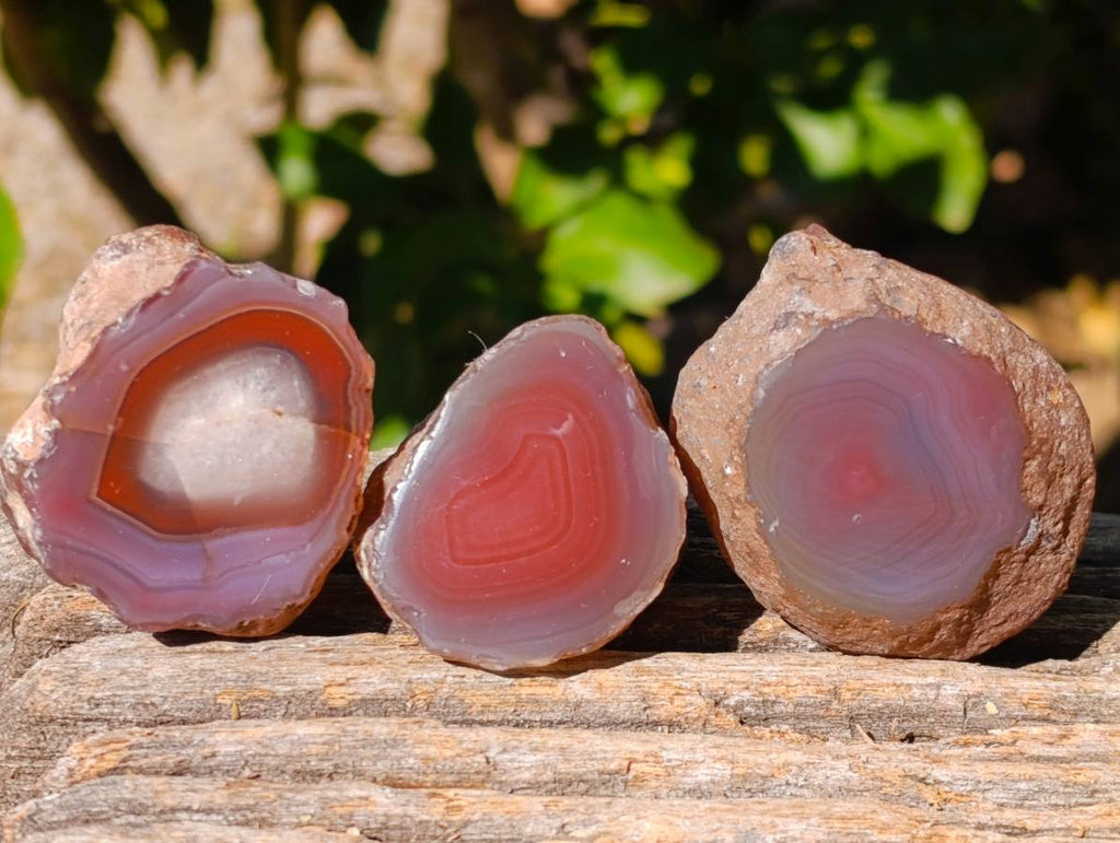 Polished On One Side Red Sashe River Agate Nodules x 20 From Zimbabwe - Toprock Gemstones and Minerals 