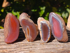 Polished On One Side Red Sashe River Agate Nodules x 20 From Zimbabwe - Toprock Gemstones and Minerals 