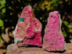 Natural Salrose Cobaltion Dolomite Specimens x 6 From Kakanda, Congo - Toprock Gemstones and Minerals 