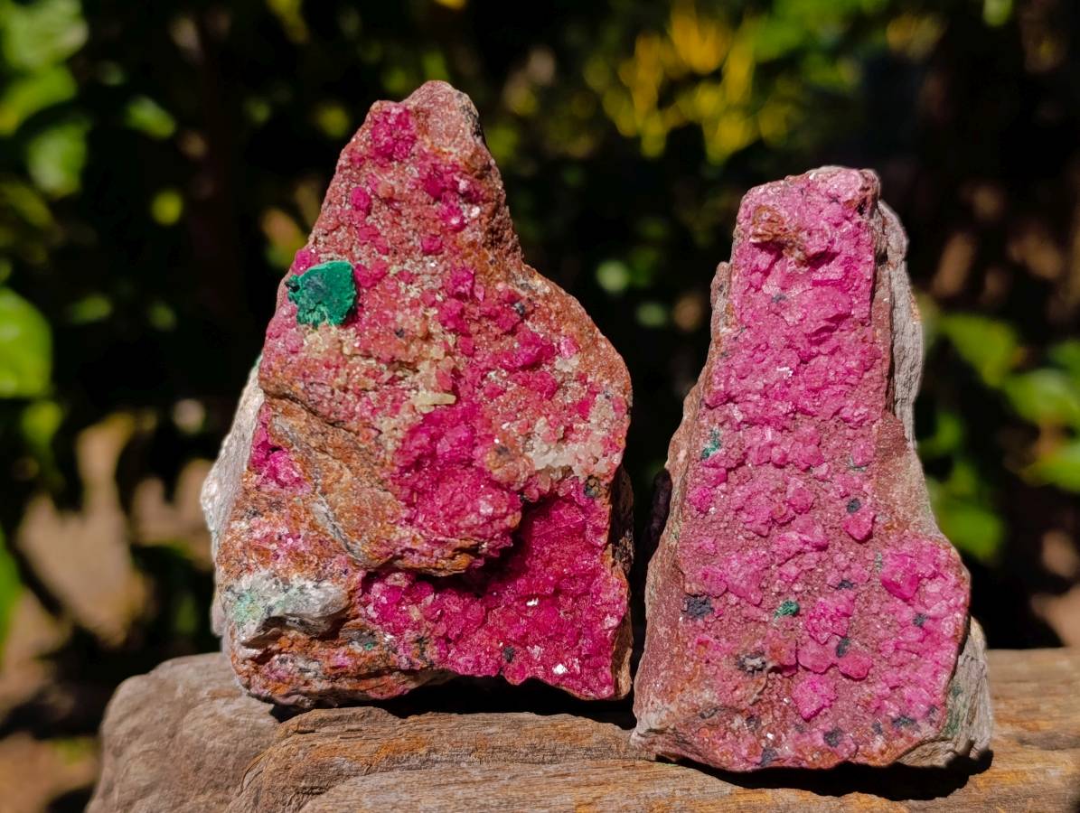 Natural Salrose Cobaltion Dolomite Specimens x 6 From Kakanda, Congo - Toprock Gemstones and Minerals 