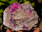 Natural Salrose Cobaltion Dolomite Specimens x 6 From Kakanda, Congo - Toprock Gemstones and Minerals 