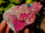 Natural Salrose Cobaltion Dolomite Specimens x 6 From Kakanda, Congo - Toprock Gemstones and Minerals 