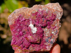 Natural Salrose Cobaltion Dolomite Specimens x 6 From Kakanda, Congo - Toprock Gemstones and Minerals 