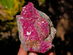 Natural Salrose Cobaltion Dolomite Specimens x 6 From Kakanda, Congo - Toprock Gemstones and Minerals 