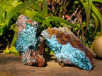 Natural Drusy Coated Chrysocolla with Malachite x 3 From Lupoto Mine, Congo - Toprock Gemstones and Minerals 