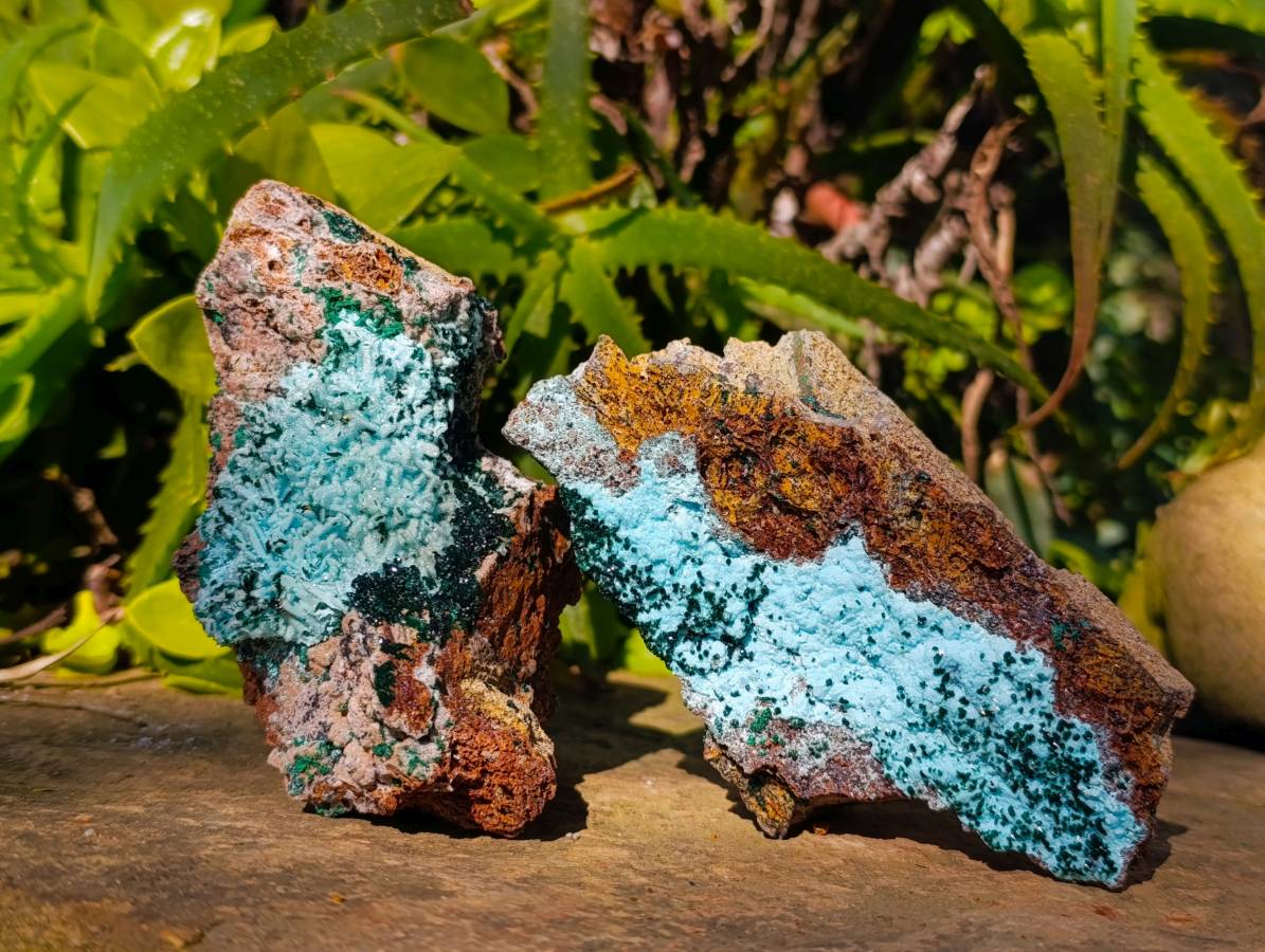Natural Drusy Coated Chrysocolla with Malachite x 3 From Lupoto Mine, Congo - Toprock Gemstones and Minerals 