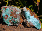 Natural Drusy Coated Chrysocolla with Malachite x 3 From Lupoto Mine, Congo - Toprock Gemstones and Minerals 