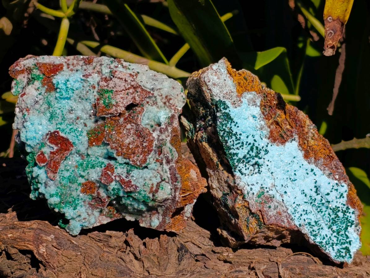 Natural Drusy Coated Chrysocolla with Malachite x 3 From Lupoto Mine, Congo - Toprock Gemstones and Minerals 