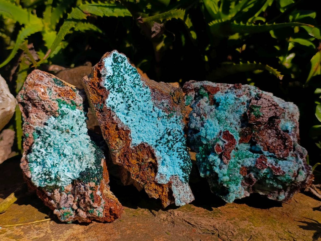 Natural Drusy Coated Chrysocolla with Malachite x 3 From Lupoto Mine, Congo - Toprock Gemstones and Minerals 
