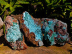 Natural Drusy Coated Chrysocolla with Malachite x 3 From Lupoto Mine, Congo - Toprock Gemstones and Minerals 