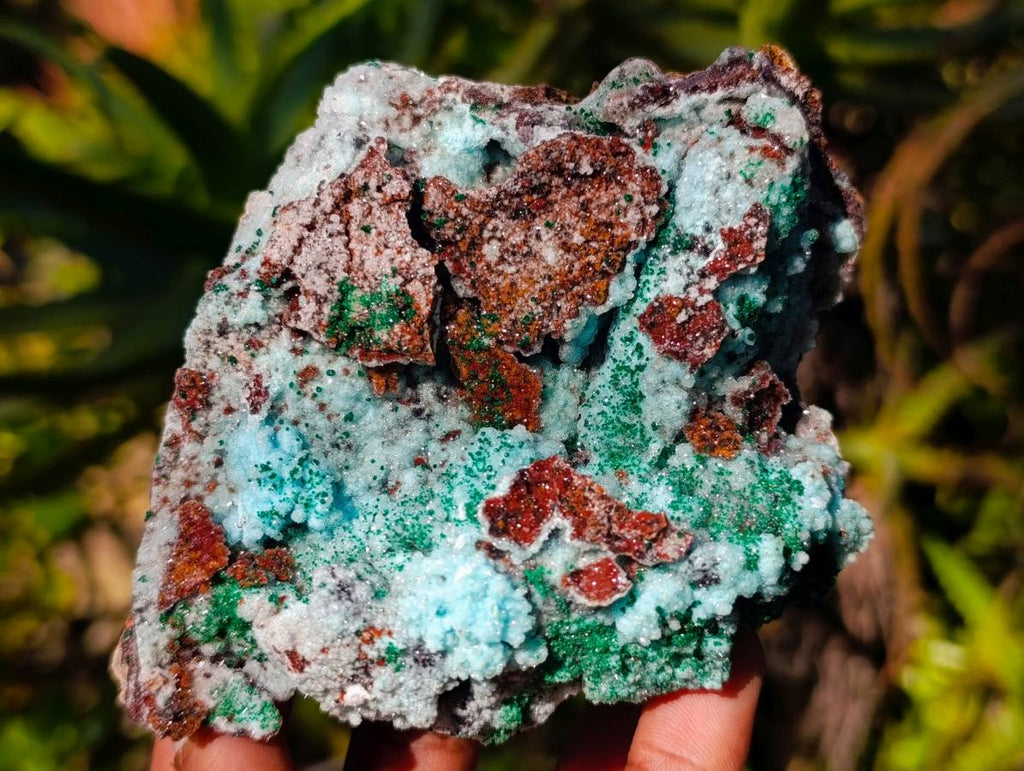 Natural Drusy Coated Chrysocolla with Malachite x 3 From Lupoto Mine, Congo - Toprock Gemstones and Minerals 