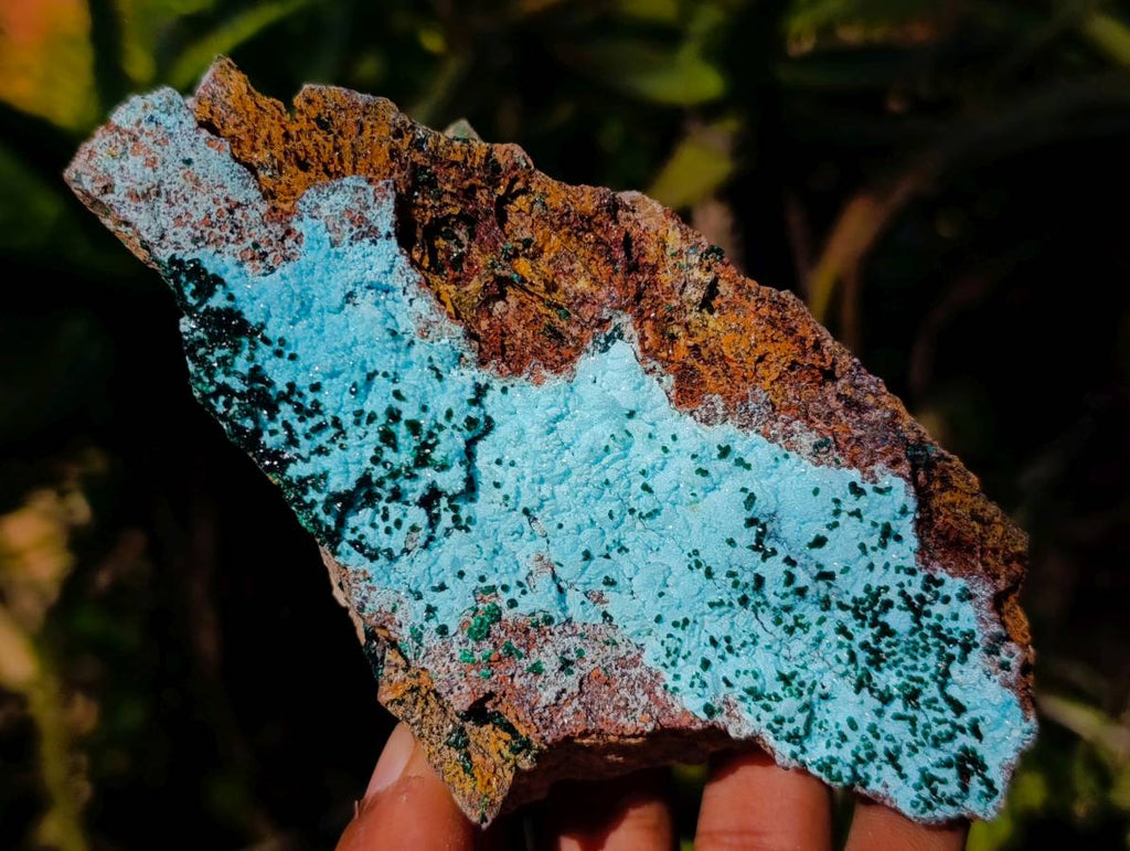 Natural Drusy Coated Chrysocolla with Malachite x 3 From Lupoto Mine, Congo - Toprock Gemstones and Minerals 