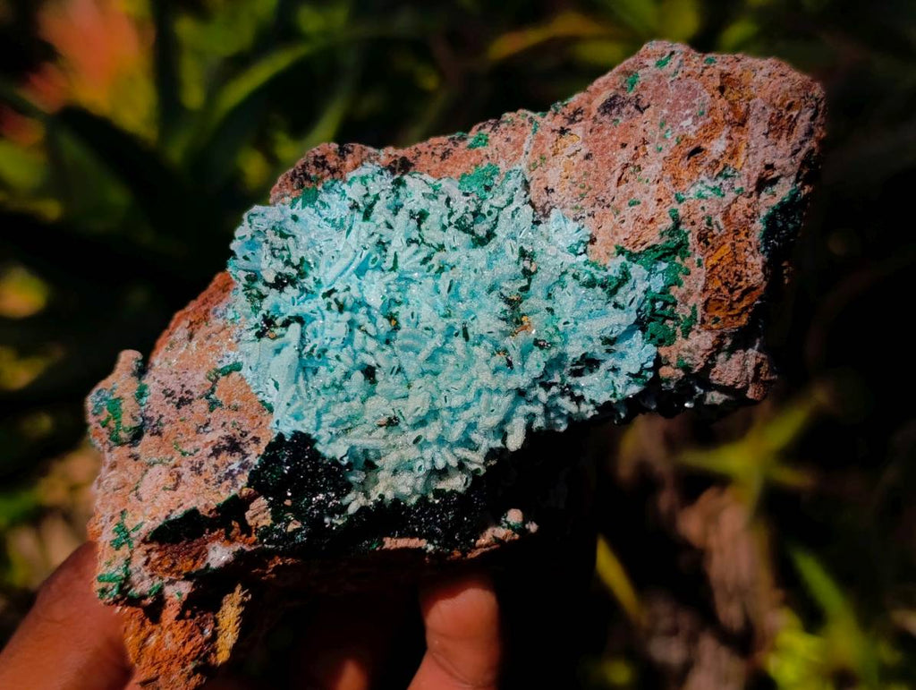 Natural Drusy Coated Chrysocolla with Malachite x 3 From Lupoto Mine, Congo - Toprock Gemstones and Minerals 
