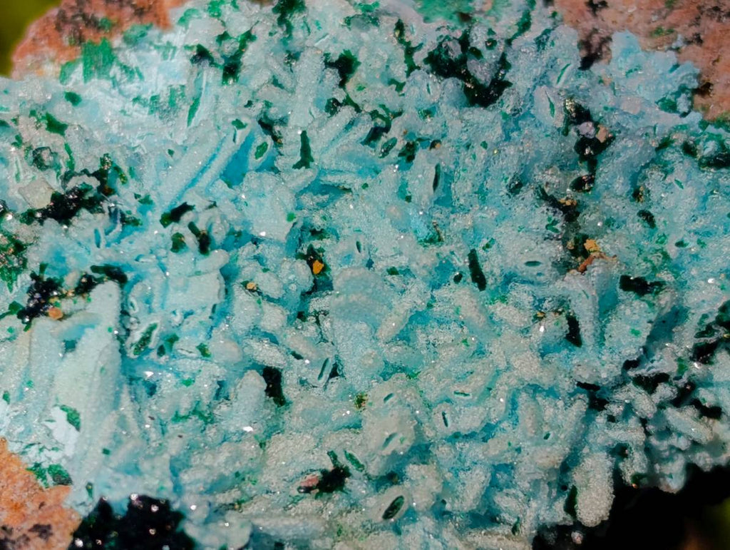 Natural Drusy Coated Chrysocolla with Malachite x 3 From Lupoto Mine, Congo - Toprock Gemstones and Minerals 