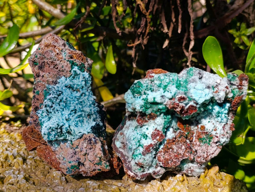 Natural Drusy Coated Chrysocolla with Malachite x 3 From Lupoto Mine, Congo - Toprock Gemstones and Minerals 