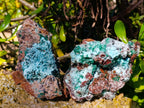 Natural Drusy Coated Chrysocolla with Malachite x 3 From Lupoto Mine, Congo - Toprock Gemstones and Minerals 