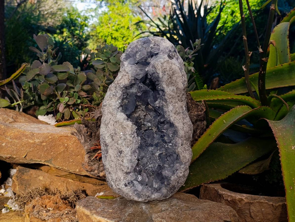 Natural Blue Celestite Crystal Specimens x 1 From Sakoany, Madagascar - Toprock Gemstones and Minerals 