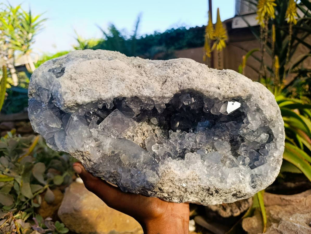 Natural Blue Celestite Crystal Specimens x 1 From Sakoany, Madagascar - Toprock Gemstones and Minerals 