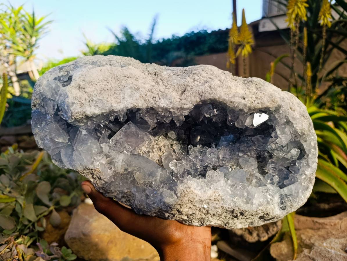 Natural Blue Celestite Crystal Specimens x 1 From Sakoany, Madagascar - Toprock Gemstones and Minerals 
