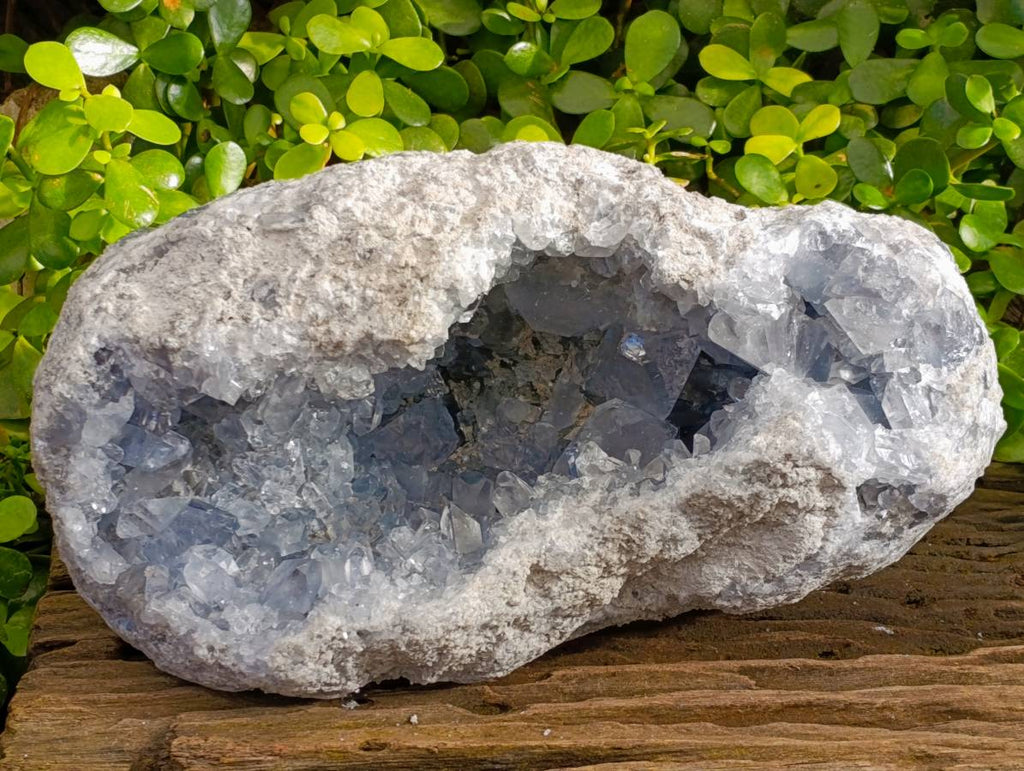 Natural Blue Celestite Crystal Specimens x 1 From Sakoany, Madagascar - Toprock Gemstones and Minerals 