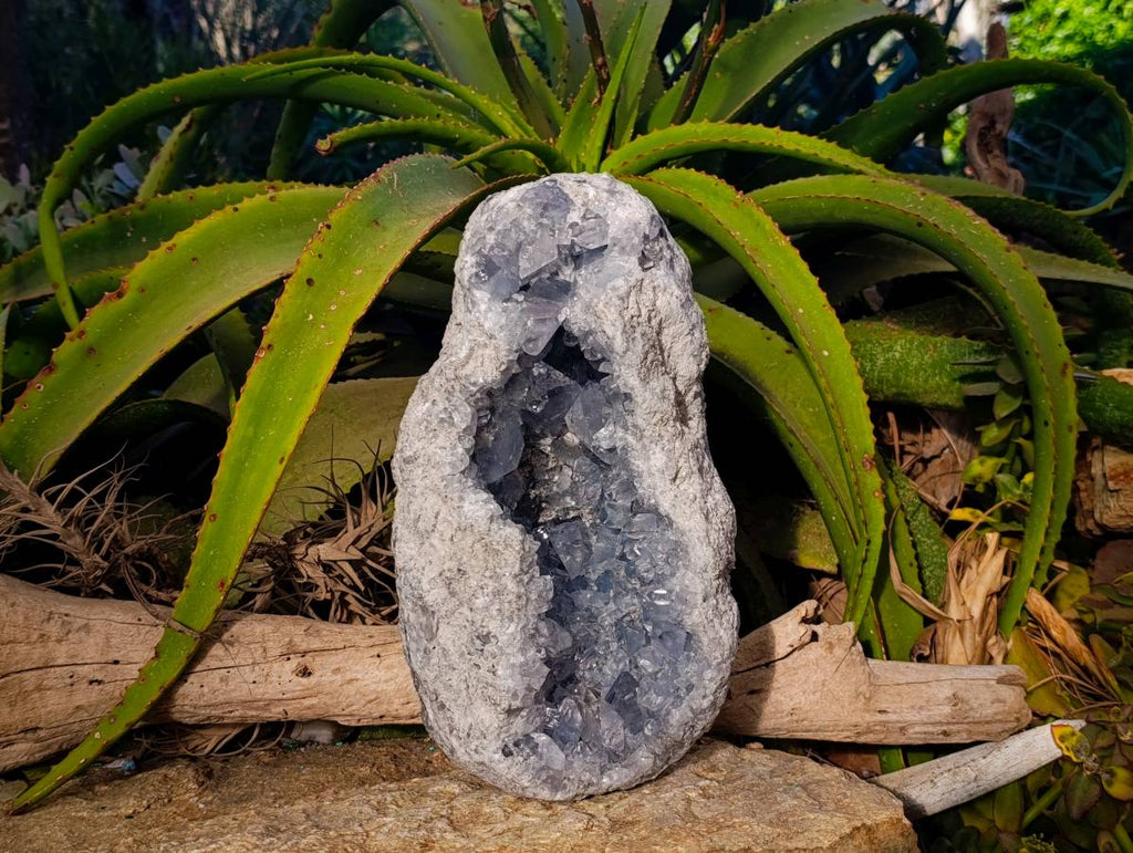 Natural Blue Celestite Crystal Specimens x 1 From Sakoany, Madagascar - Toprock Gemstones and Minerals 