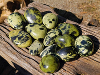 Polished Leopard Stone Palm Stones x 13 From Zimbabwe