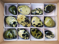 Polished Leopard Stone Palm Stones x 13 From Zimbabwe