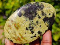 Polished Leopard Stone Palm Stones x 13 From Zimbabwe