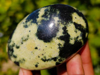 Polished Leopard Stone Palm Stones x 13 From Zimbabwe