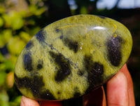 Polished Leopard Stone Palm Stones x 13 From Zimbabwe