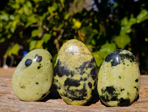 Polished Leopard Stone Palm Stones x 13 From Zimbabwe - Toprock Gemstones and Minerals 
