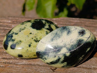 Polished Leopard Stone Palm Stones x 13 From Zimbabwe