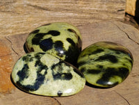 Polished Leopard Stone Palm Stones x 13 From Zimbabwe