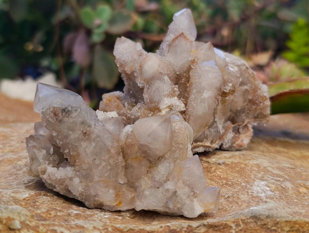 Natural Fairy Spirit Quartz Clusters x 12 From South Africa - Toprock Gemstones and Minerals 