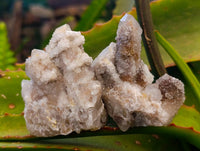 Natural Fairy Spirit Quartz Clusters x 12 From South Africa