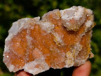 Natural Fairy Spirit Quartz Clusters x 12 From South Africa