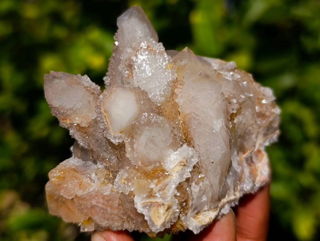 Natural Fairy Spirit Quartz Clusters x 12 From South Africa - Toprock Gemstones and Minerals 