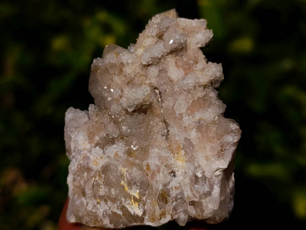 Natural Fairy Spirit Quartz Clusters x 12 From South Africa - Toprock Gemstones and Minerals 