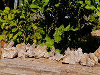 Natural Fairy Spirit Quartz Clusters x 12 From South Africa