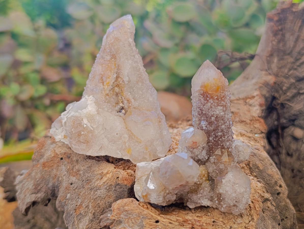 Natural Fairy Spirit Quartz Clusters x 12 From South Africa - Toprock Gemstones and Minerals 