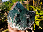 Natural Ball Malachite On Dolomite Matrix Specimen x 1 From Kambove, Congo - Toprock Gemstones and Minerals 