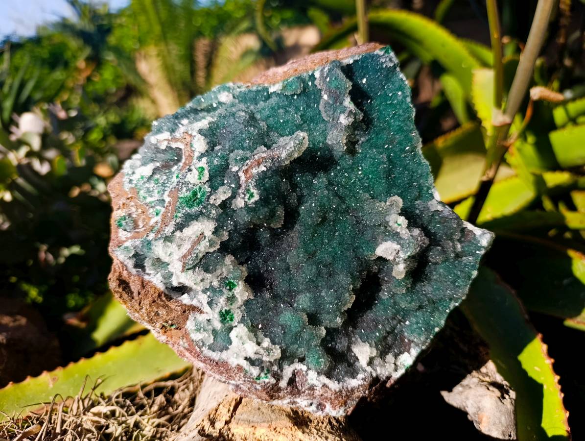 Natural Ball Malachite On Dolomite Matrix Specimen x 1 From Kambove, Congo - Toprock Gemstones and Minerals 