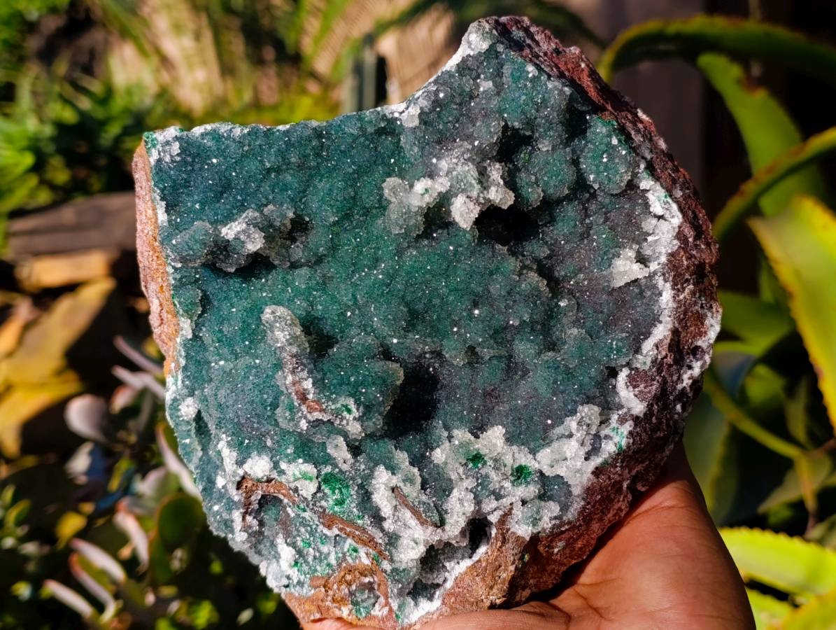 Natural Ball Malachite On Dolomite Matrix Specimen x 1 From Kambove, Congo - Toprock Gemstones and Minerals 